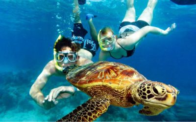 Top 6 Belize Tours