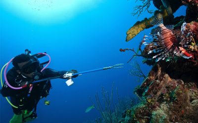 Facts About The Mesoamerican Reef in Belize