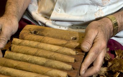 Common Commodities of Central America: Cigars